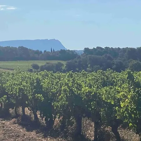 Domaine Dupais, 15 Min Du Centre D'aix En Provence * Aix-en-Provence